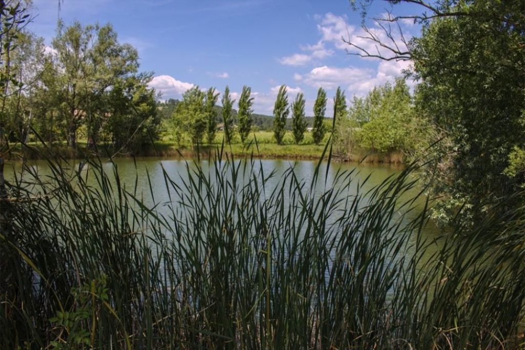 Camping La Plaine 3 1024x684