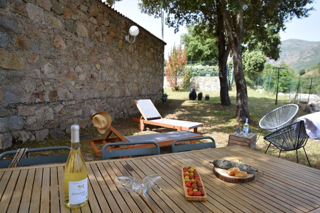 E Canicce 4 1024x683