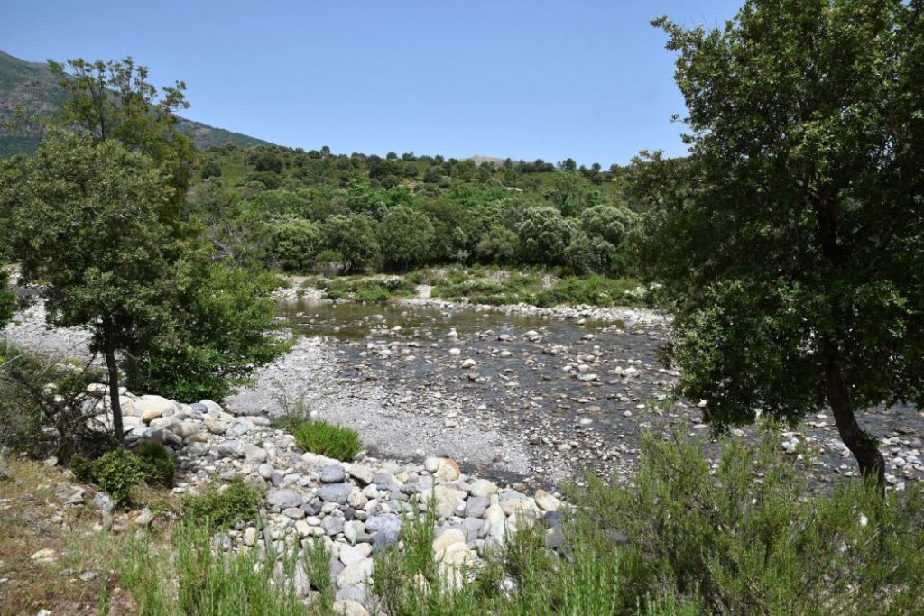 E Canicce 5 1024x683