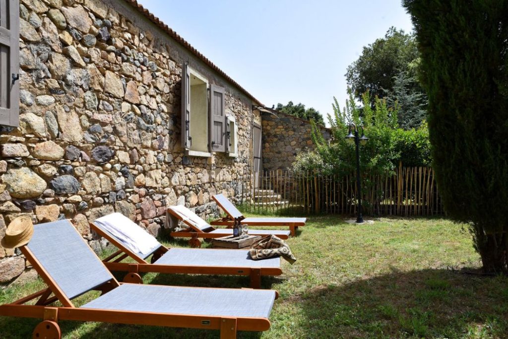 E Canicce 7 1024x683