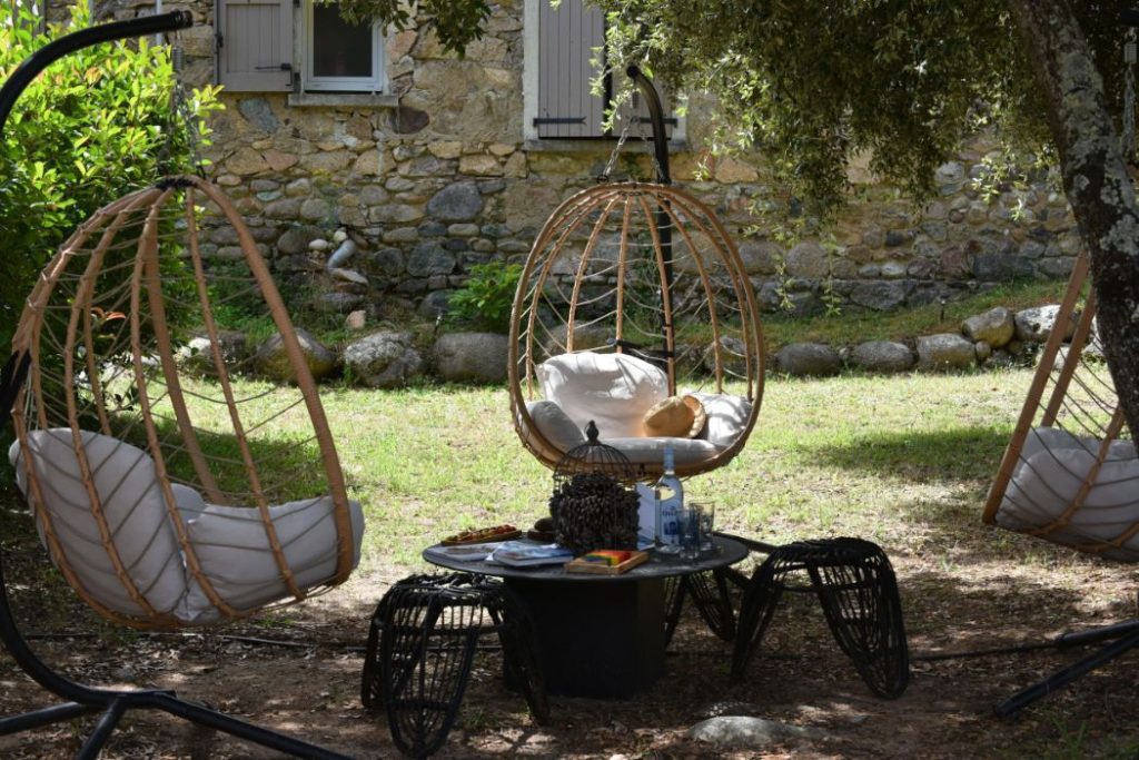 E Canicce 8 1024x683