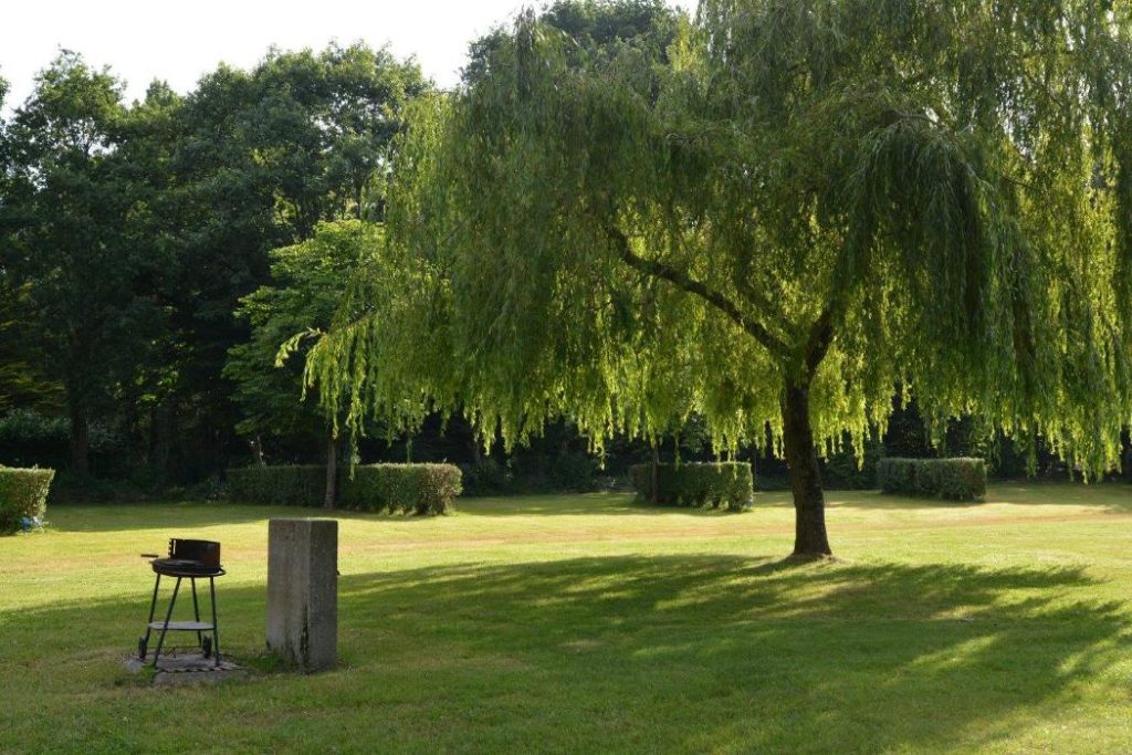 camping du lac 11 1024x683