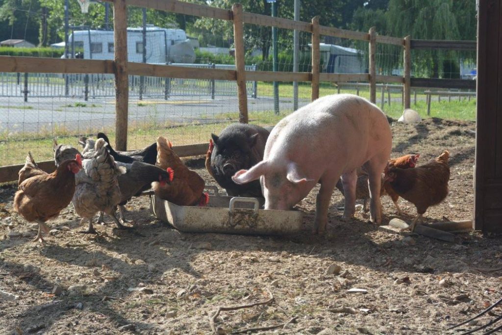 camping du lac 13 1024x683