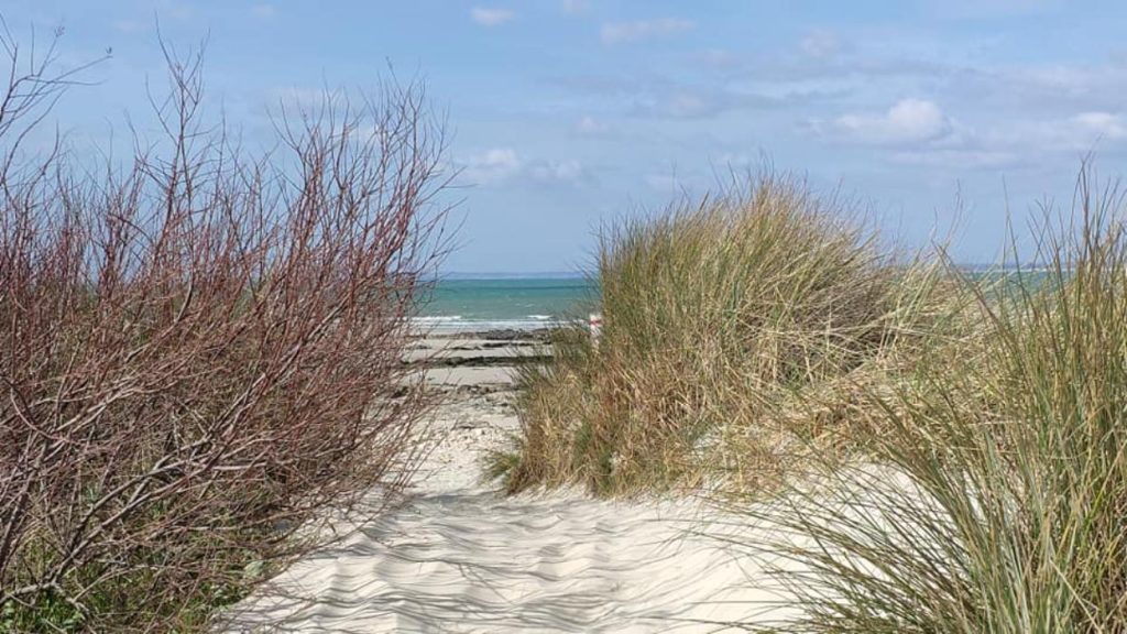 le moulin daurore 8 1024x576